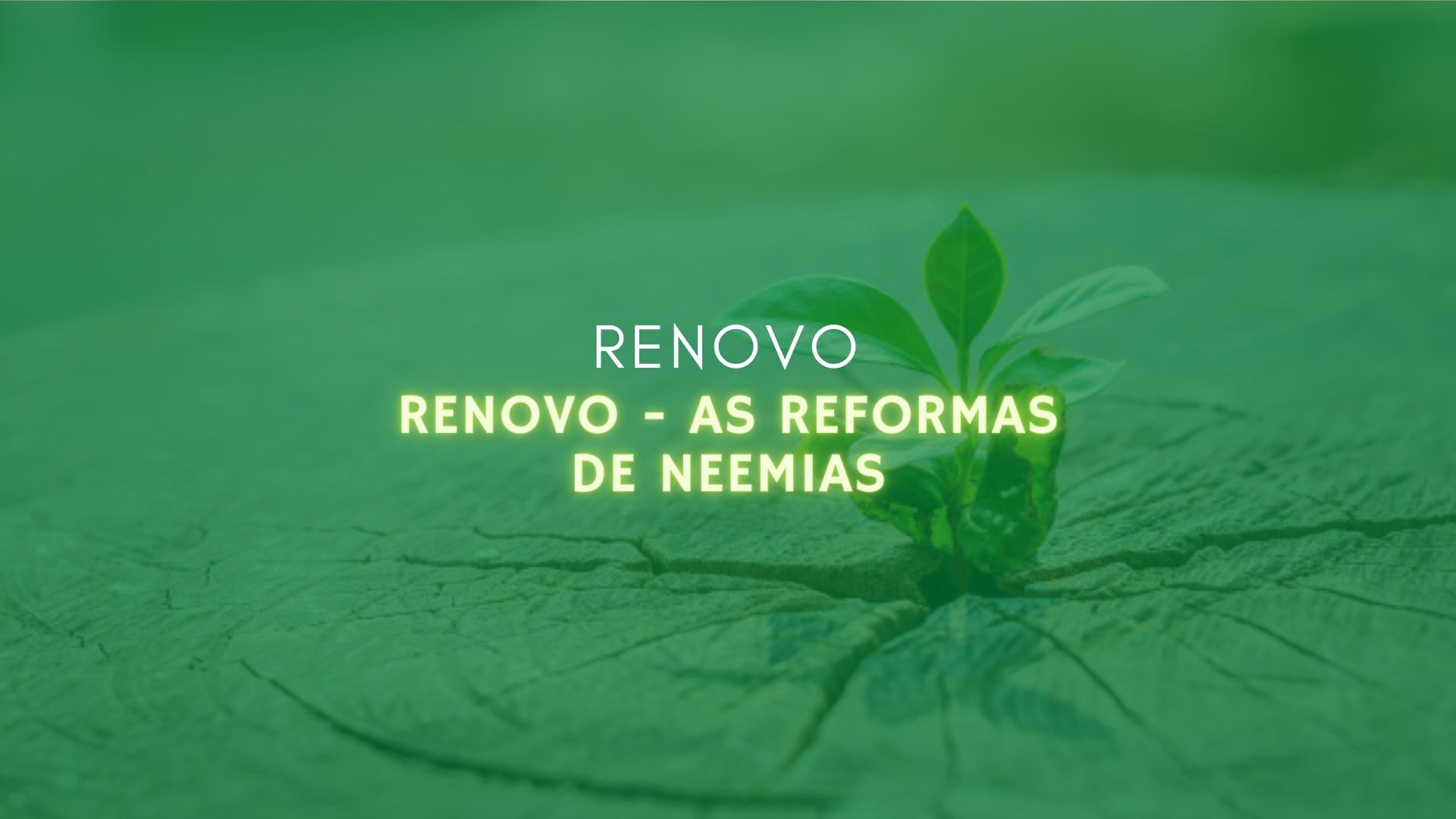 Renovo - As reformas de Neemias